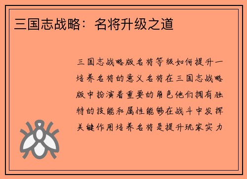 三国志战略：名将升级之道