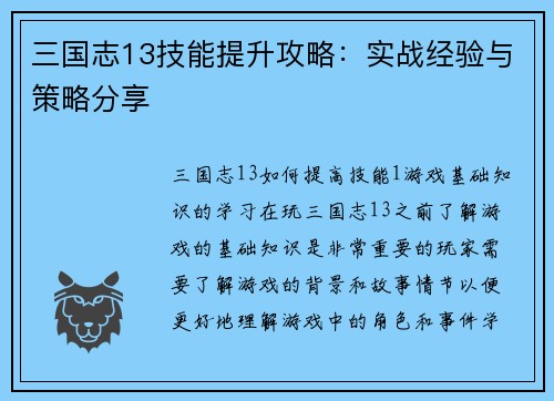 三国志13技能提升攻略：实战经验与策略分享